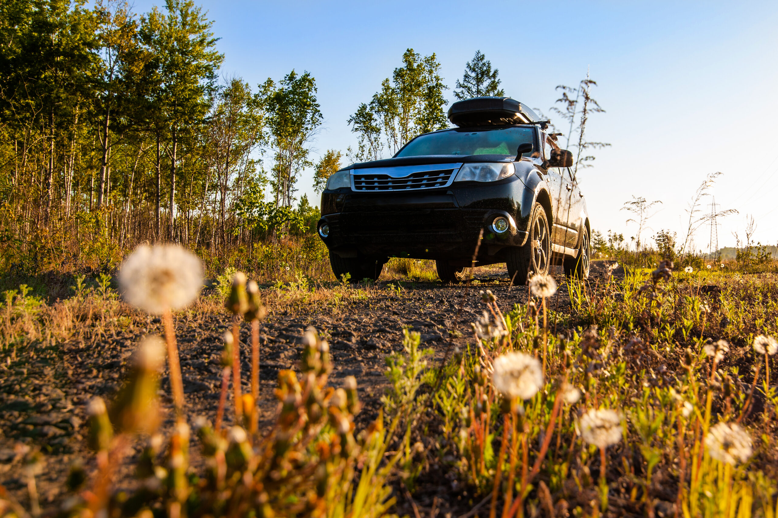 suv on rugged terrain
