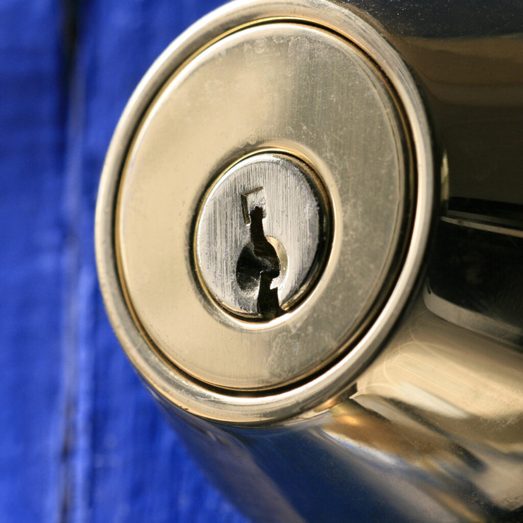 Door Lock Systems Types
